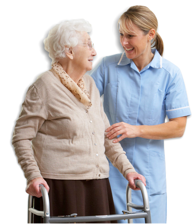Carer helping elderly senior woman using walking frame